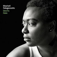 Meshell Ndegeocello